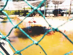 -鄂尔多斯野生动物园