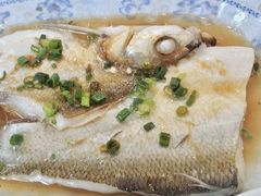 清蒸白鱼-云和夜泊酒店·中餐厅