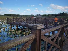 -上海海湾国家森林公园