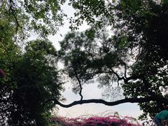 -广州市白云山风景名胜区