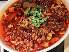 -陈麻婆豆腐(旗舰店)