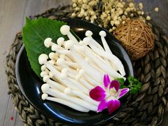 -手选潮汕鲜活牛肉火锅(二七广场店)