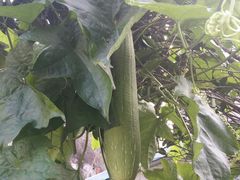 -小草屋轰趴馆别墅派对新场团建家庭聚会