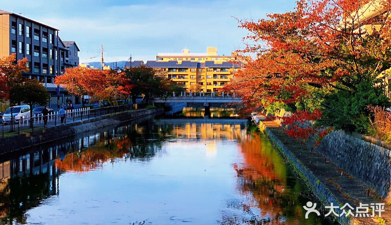 京都·游记