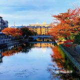 京都·游记