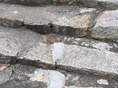 -广东惠东海龟国家级自然保护区