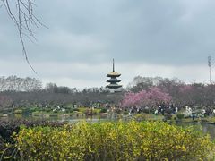-东湖落雁景区