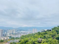 -金鸡山公园