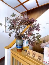 -宥莉·ULLY 痘敏肌•科技皮肤管理中心