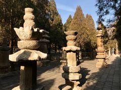 -四门塔风景区
