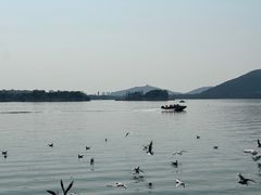 -无锡蠡湖国家湿地公园-蠡园