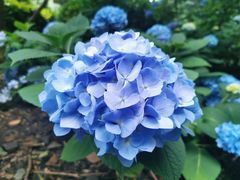 -常州古运河南大街文化旅游区-人民公园