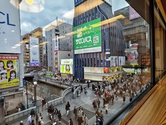 -蟹道乐(道顿堀本店)