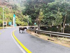 -七寨湖公园
