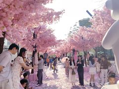 -东莞松山湖万象汇