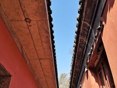 -阳台山自然风景区