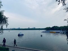 -长春市南湖公园