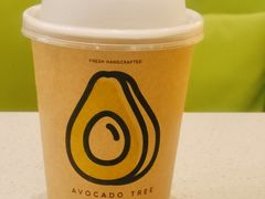 -油梨树 AVOCADO TREE(亮马桥店)