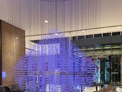 -浦东绿地铂骊酒店-POYA西餐厅(绿地东海岸国际广场店)