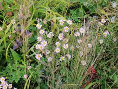 景点-白草畔自然风景区