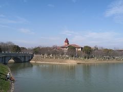 -上海海湾国家森林公园