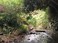 -宁波浙东大竹海景区