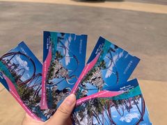 -七彩云南欢乐世界