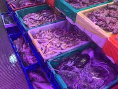 -芦潮港集贸市场