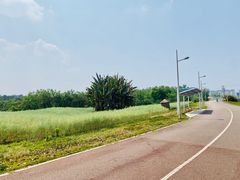 -白鹭湾湿地公园