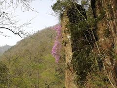 -浙西大峡谷