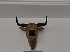 -黄牛肉馆·皖南土菜