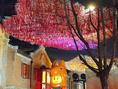 -丰盛里