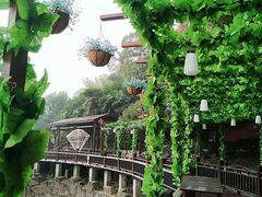 -石燕湖生态旅游景区