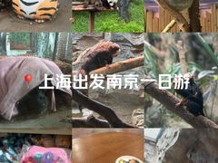 -红山森林动物园