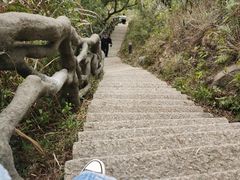 -梧桐山风景名胜区