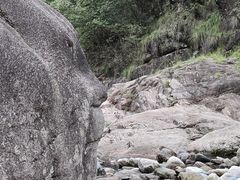 -鄣山大峡谷