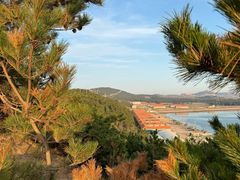 -摩天岭风景区