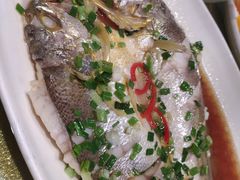 清蒸黄鱼-乾隆美食·本帮菜(黄河路店)