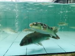 -龙达温泉生态城