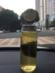 -鲍海兵
