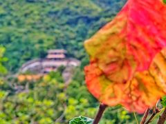 -香山公园-东宫门售票处