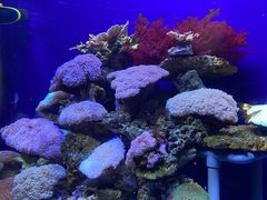 -江和美海洋公园