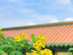 -佛山市三水温泉度假村