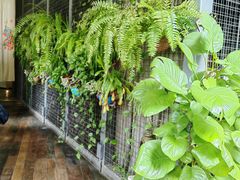 -肴约·花园式餐厅(湖里店)