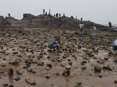 -海合安青岛极地海洋公园