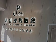 -派特宠物医院(海岸城店)
