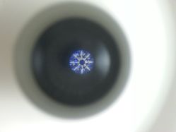 -威德钻石-克拉钻大本营(南京东路店)