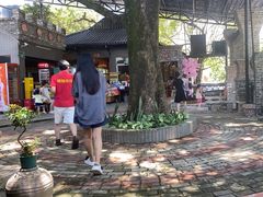 -桃姐农庄老字号(增城分店)