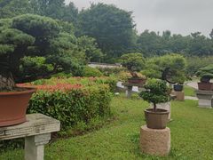 -上海海湾国家森林公园