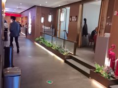 -宏宴·新京菜(望京店)